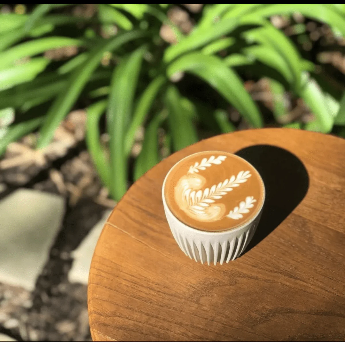 6oz Huskee Cup with Lid for Coffee Lovers - Image 8