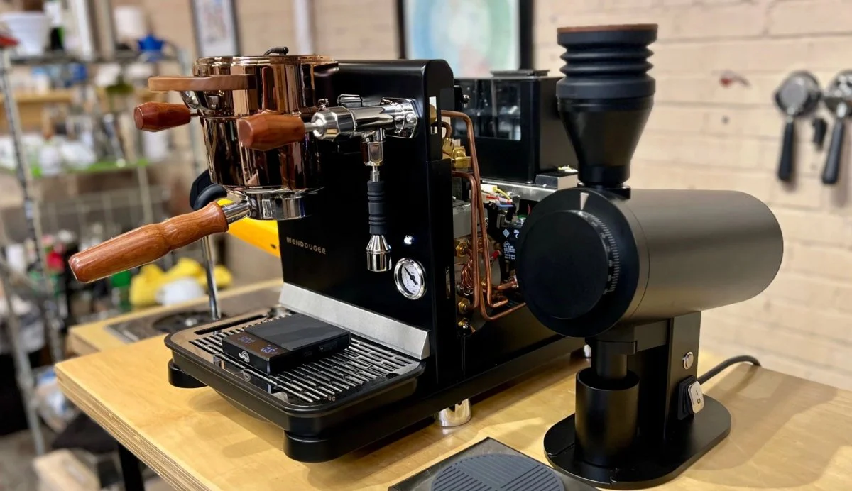 Wendougee Data S Espresso Machine - Black / Gold - Image 9
